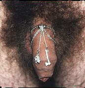 penis schmuck
